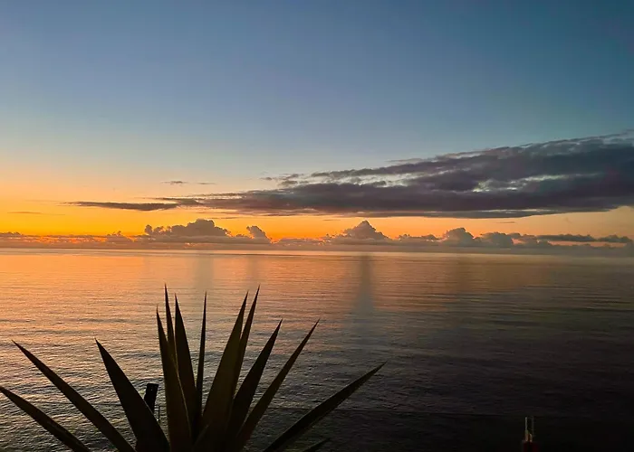 Exclusive Ocean Views Апартаменты Лос-Реалехос