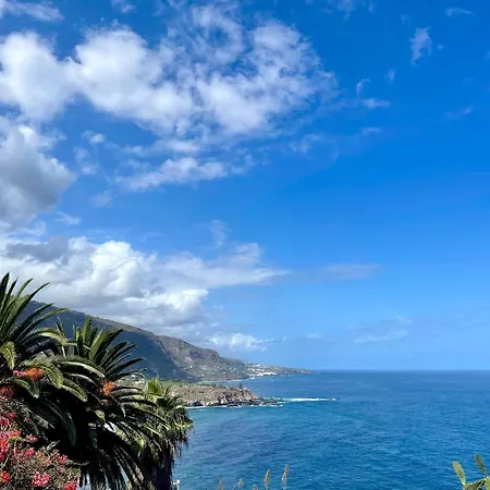 Διαμέρισμα Exclusive Ocean Views Λος Ρεαλέχος