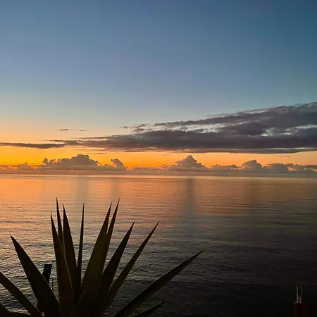 Exclusive Ocean Views Λος Ρεαλέχος