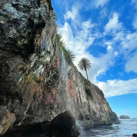 Exclusive Ocean Views Λος Ρεαλέχος